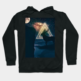 The cosmic reunion Hoodie